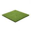 Pro Putt