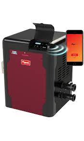 Raypak Avia 404 Electronic Ignition NG