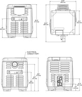 Pentair Master Temp Low Nox 175 000 BTU
