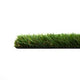 Everblade 50