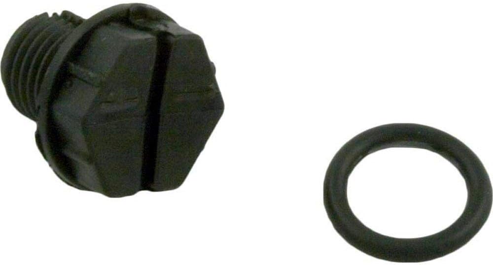 Plug with O-Ring
