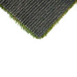 Everblade 50