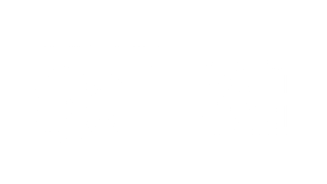 Gecko Aqua-Flo Flo-Master XP2