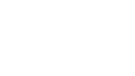 Gecko Flo-Master XP2E Pump