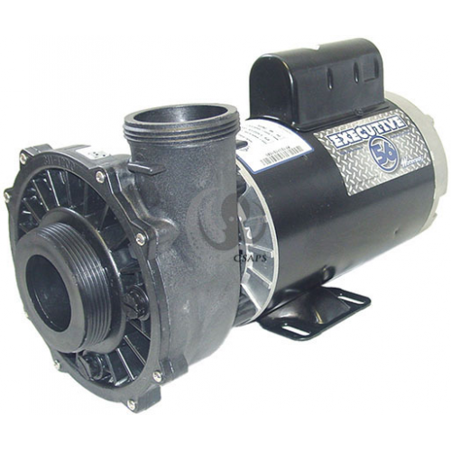 Waterway Pump 3721621-13
