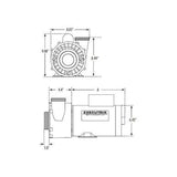 Waterway Pump 3722021-13
